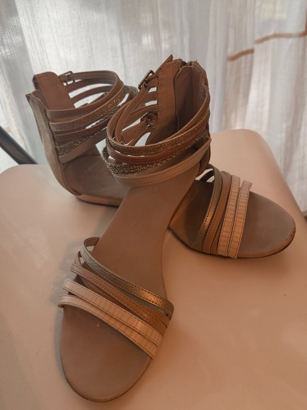 Aldo Tan and Gold Gladiator Sanda;